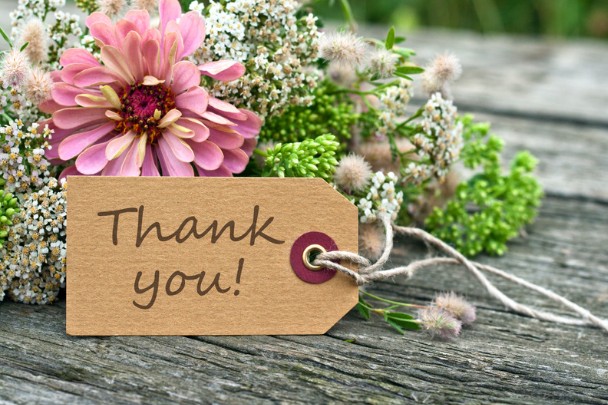 thanhphuad_thankyou